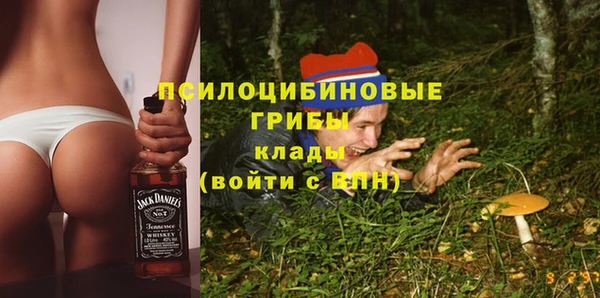 бошки Нефтегорск